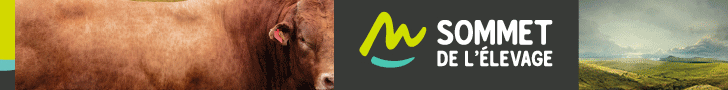 ads image