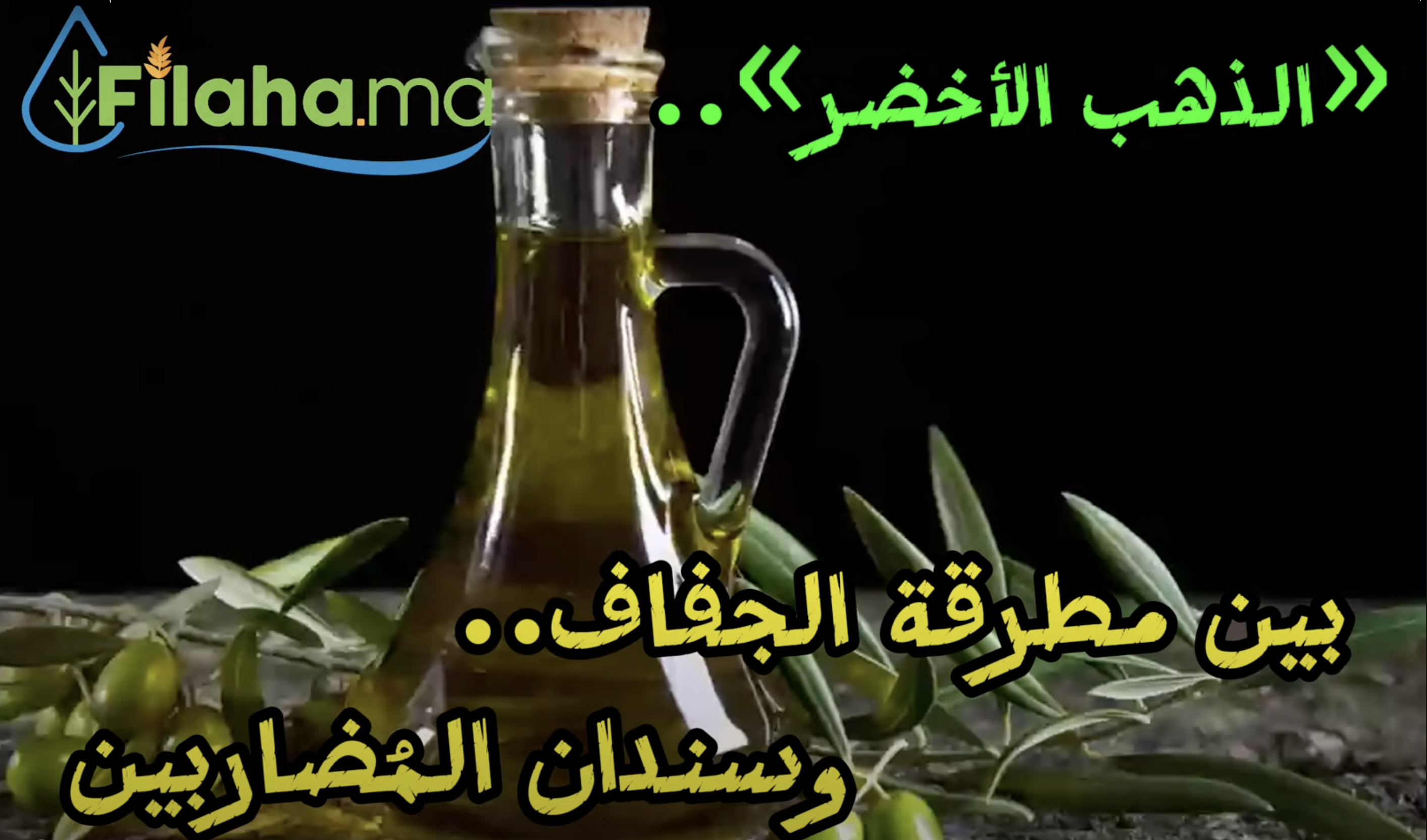 «زيت الزيتون» أصبح عصيا على المغاربة.. والسبب؟