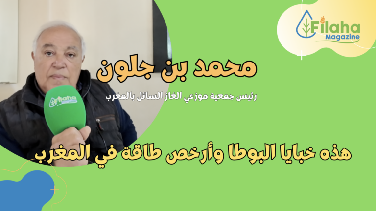 تفاصيل عن توزيع الغاز السائل بالمغرب