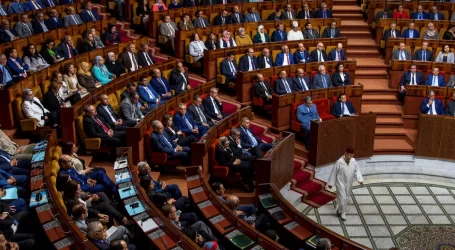 أسئلة حارقة تحرك تحقيقا برلمانيا بشأن غلاء أسعار اللحوم والأسماك