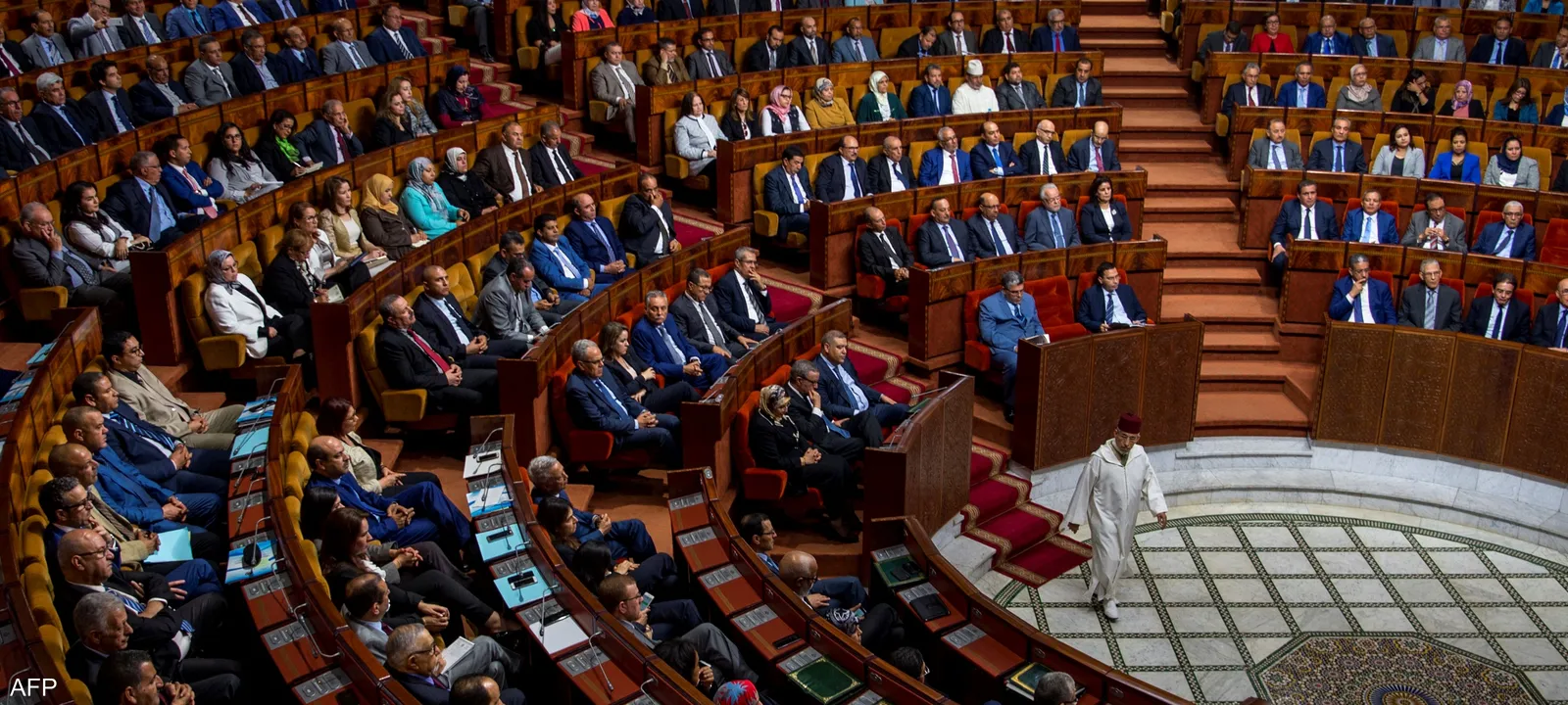 أسئلة حارقة تحرك تحقيقا برلمانيا بشأن غلاء أسعار اللحوم والأسماك