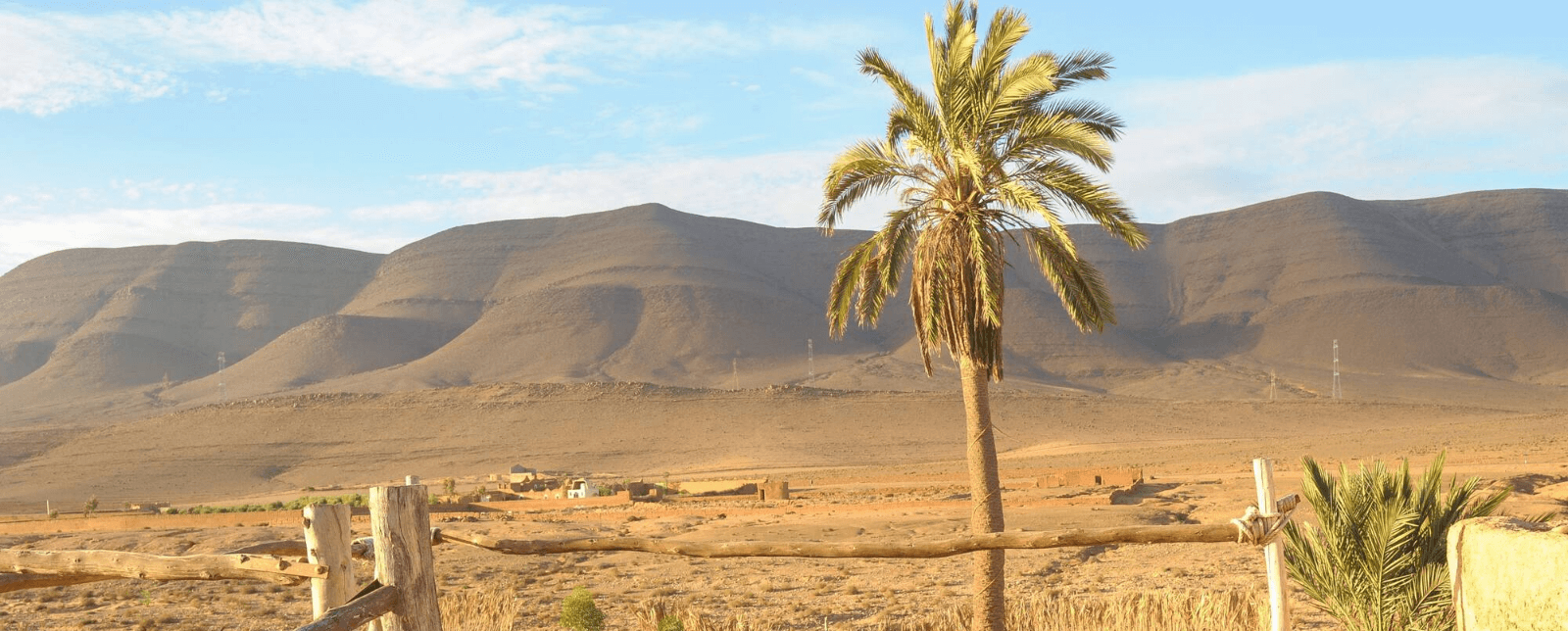 كلميم وادنون.. التساقطات المطرية الأخيرة لها تأثير إيجابي على المزروعات والمراعي