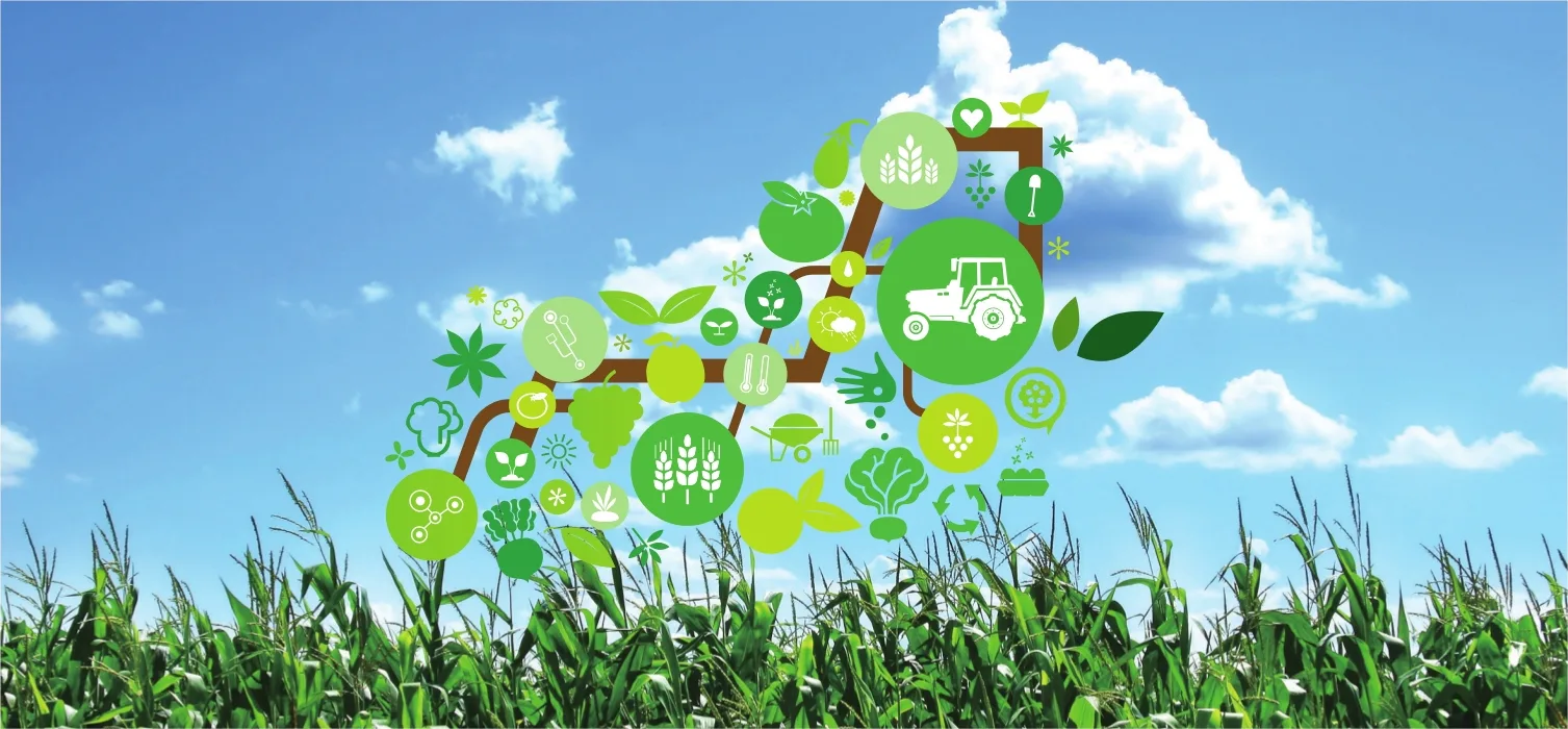 «القرض الفلاحي المغرب» و«تمويلكم» يدعمان الابتكار الزراعي