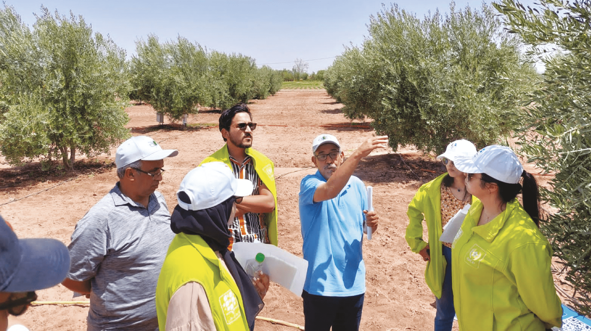 «آلية المثمر».. التجربة الميدانية أساس الإقناع من أجل إنتاجية أكبر بتكاليف أقل