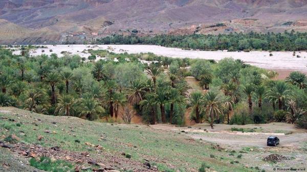 التدبير المستدام للواحات محور اجتماع بطاطا