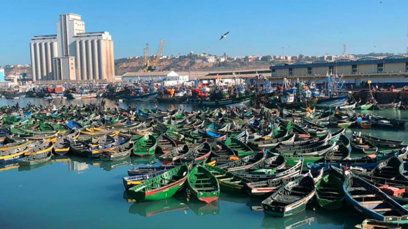 ميناء آسفي.. انخفاض مفرغات الصيد البحري نهاية مارس 2025