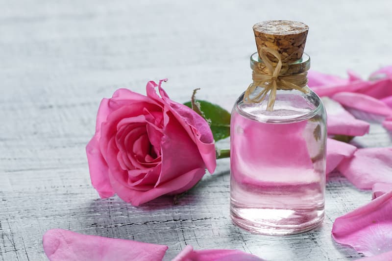 الورد العطري.. توقع إنتاج 4800 طن سنة 2025