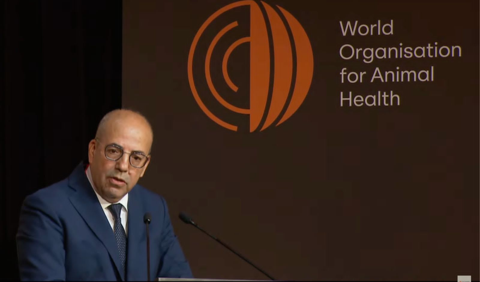 باريس.. المغرب يدعو إلى تعزيز العمل الجماعي من أجل الصحة الحيوانية