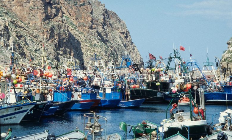 الحسيمة: تكوين لتقوية قدرات تعاونيات الصيد البحري