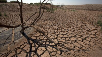 أزمة الماء.. الدعوة لتبني نماذج اقتصادية مستدامة