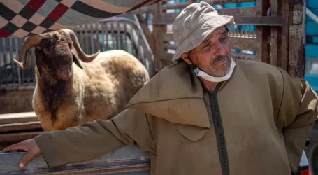 هذه تفاصيل دعم «الكسَّابة» لمواجهة تداعيات الجفاف