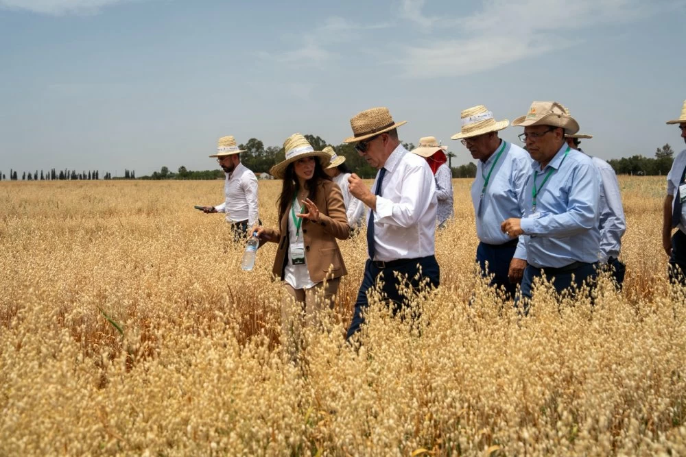«INRA» و«ICARDA» يكشفان بـ«مرشوش» عن آخر ابتكاراتهما الزراعية