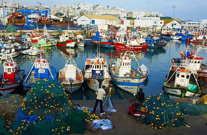 ميناء المضيق: ارتفاع كمية مفرغات الصيد البحري بنسبة 28 %
