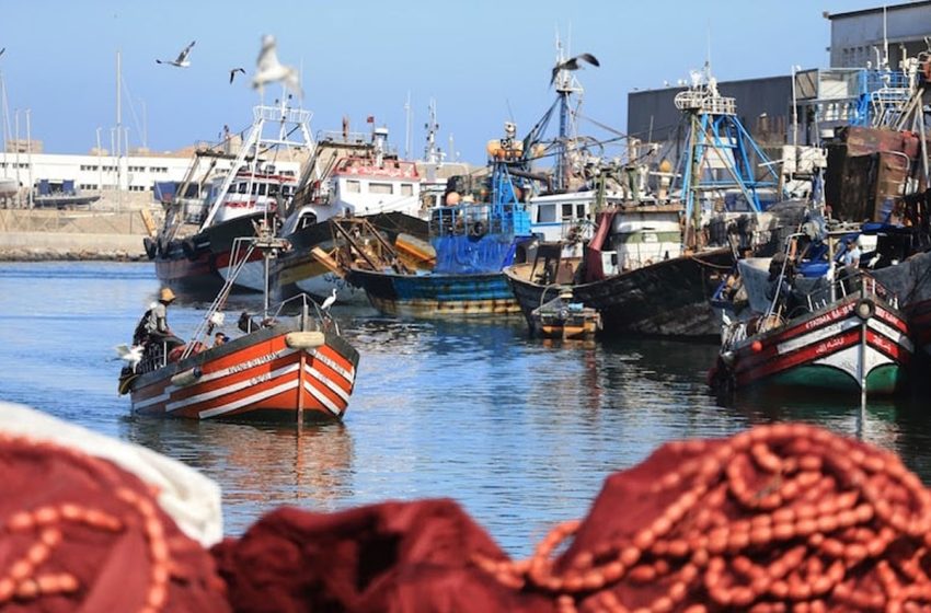 زكية الدريوش تشرف على تدشين سوق للسمك من الجيل الجديد بميناء الحسيمة