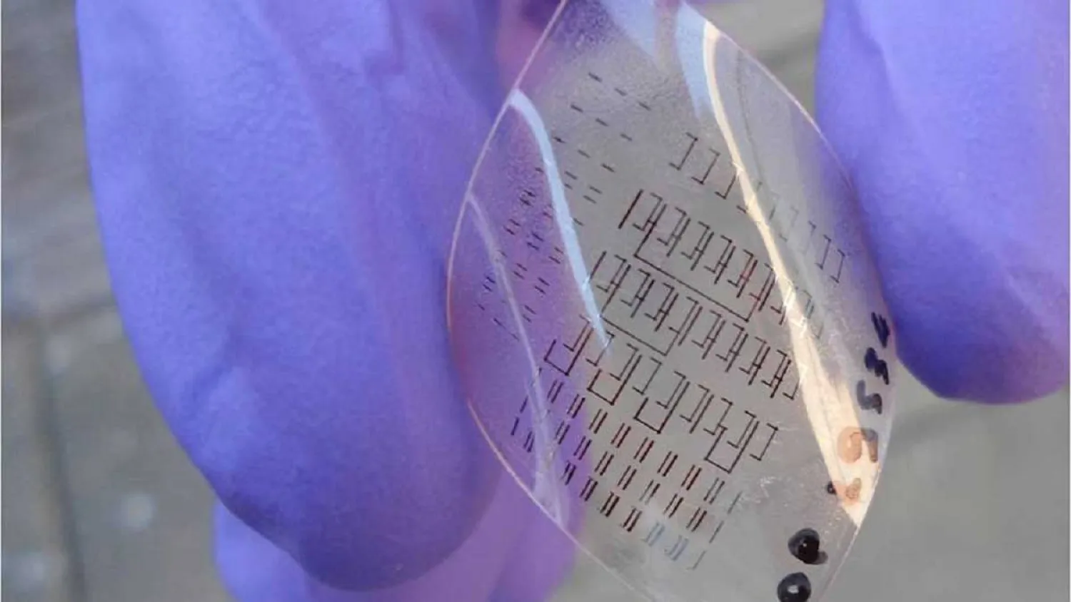 باحثون يطورون بلاستيك إلكتروني مرن وصديق للبيئة