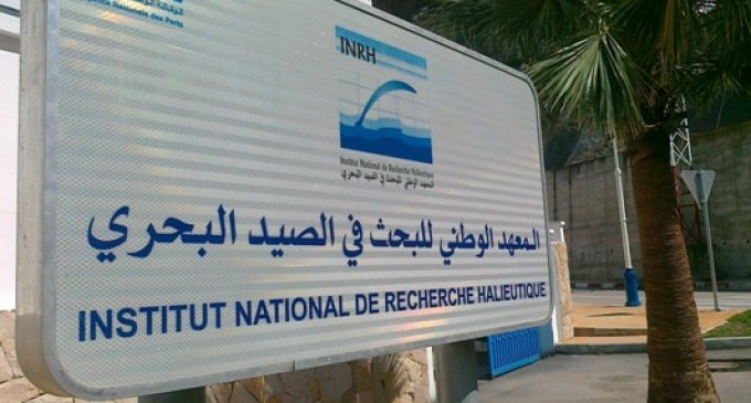 المعهد الوطني للبحث في الصيد البحري يعقد الدورة الـ32 لمجلس الإدارة