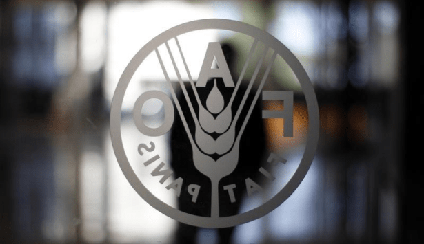 أولويات المؤتمر الإقليمي للـ«فاو» من أجل إفريقيا «تنسجم تماما» مع استراتيجيات المغرب