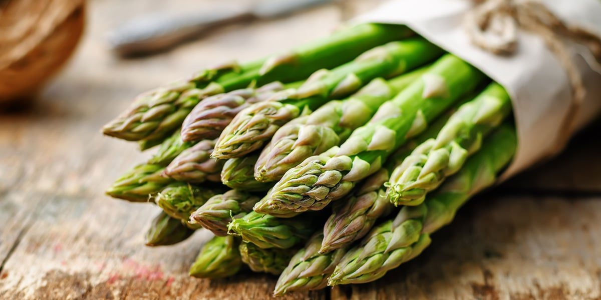 الهليون «L’Asperge» المغربي.. قصة نجاح جديدة في أسواق التصدير