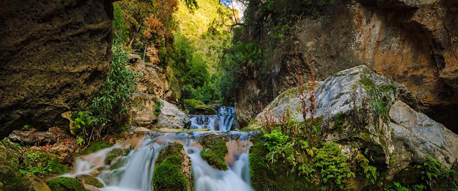 البنك الدولي: حماية الطبيعة رافعة للتشغيل والنمو الاقتصادي