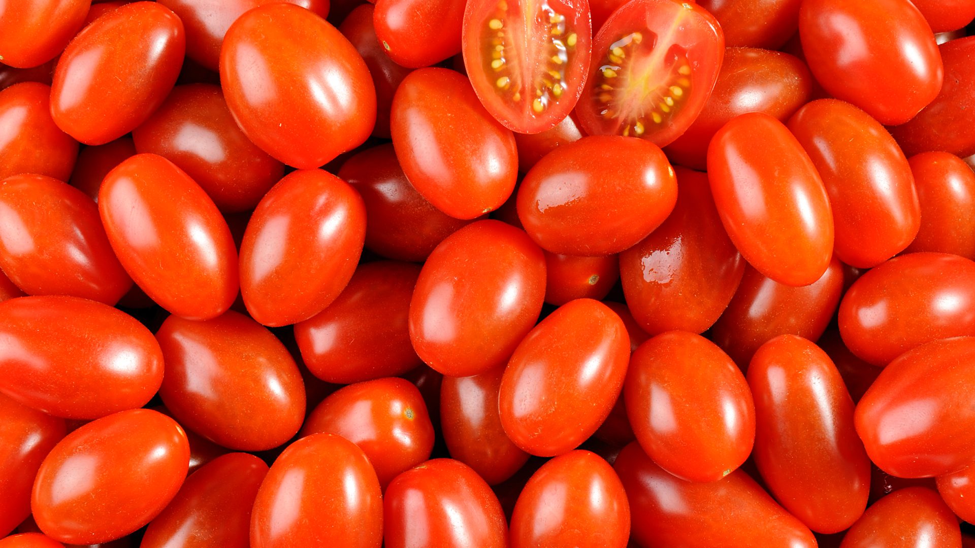 إنذار أوروبي بشأن طماطم مغربية.. و«ONSSA» في دار غفلون