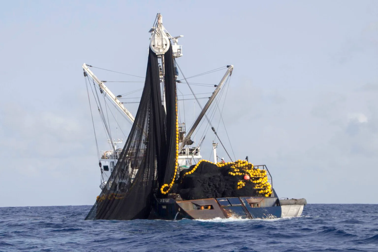 ميناء طنجة: ارتفاع طفيف في كمية مفرغات الصيد البحري متم يوليوز 2025