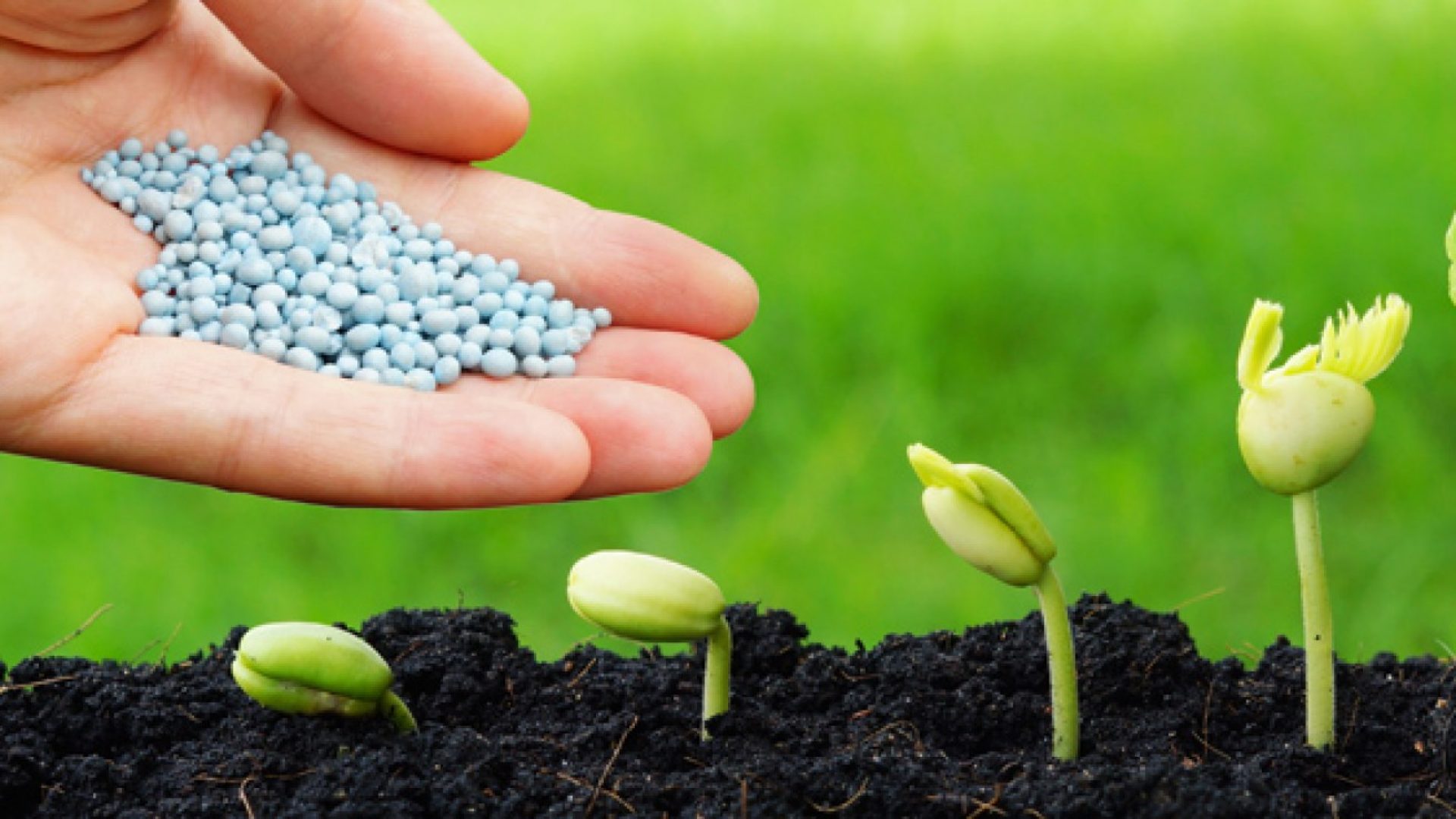 المغرب ثالث أكبر مصدر للأسمدة إلى الهند