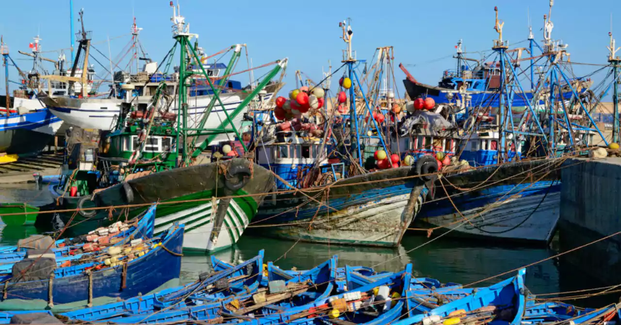 ميناء المضيق.. ارتفاع مفرغات الصيد البحري مع متم يوليوز 2025