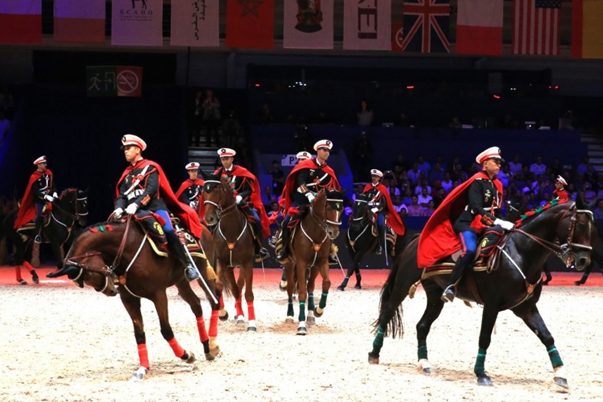 معرض الفرس بالجديدة يبرز أهمية سلسلة الخيول الوطنية ضمن إستراتيجية «الجيل الأخضر»