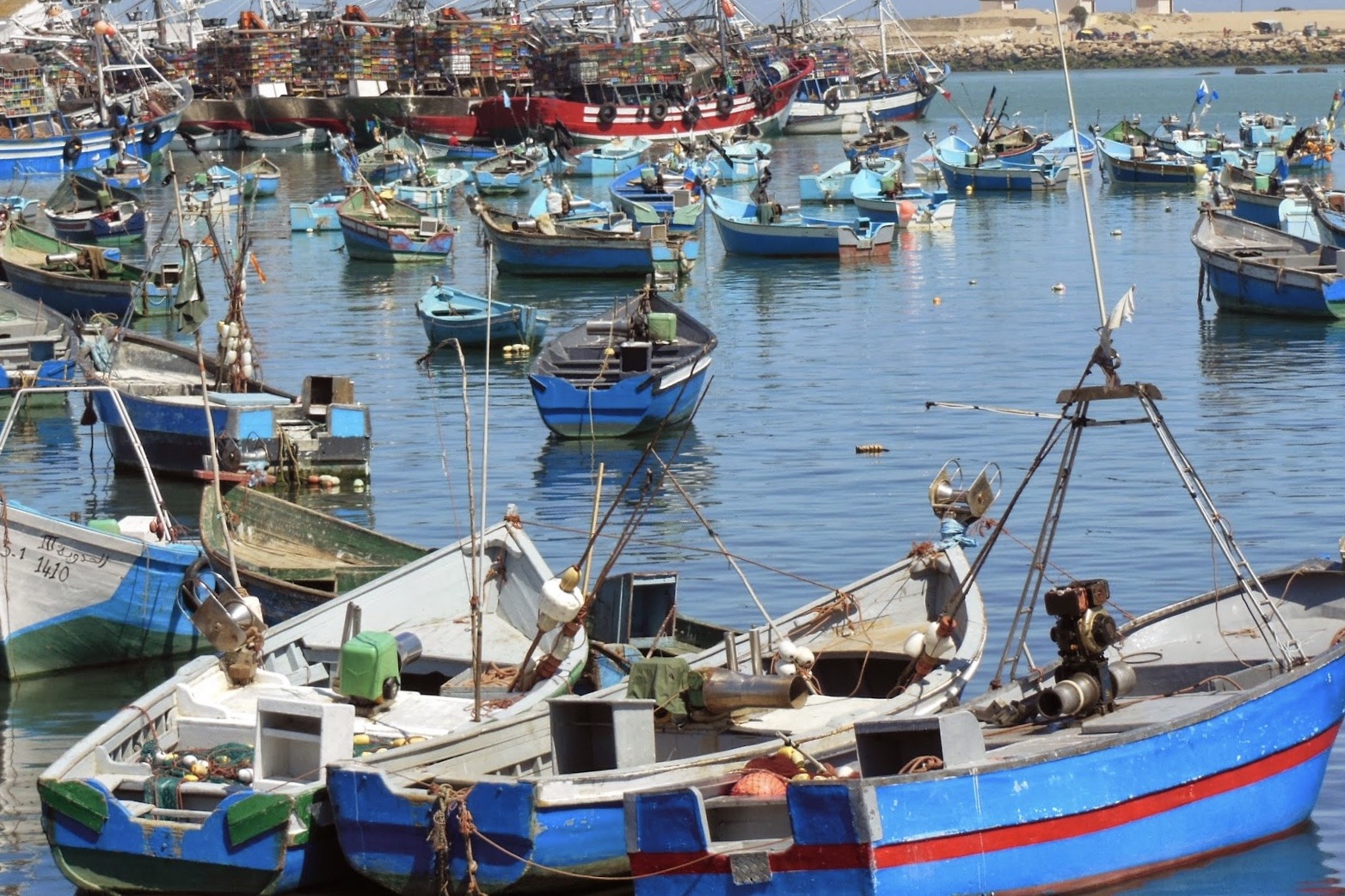 انخفاض مفرغات الصيد البحري متم يوليوز بميناء العرائش