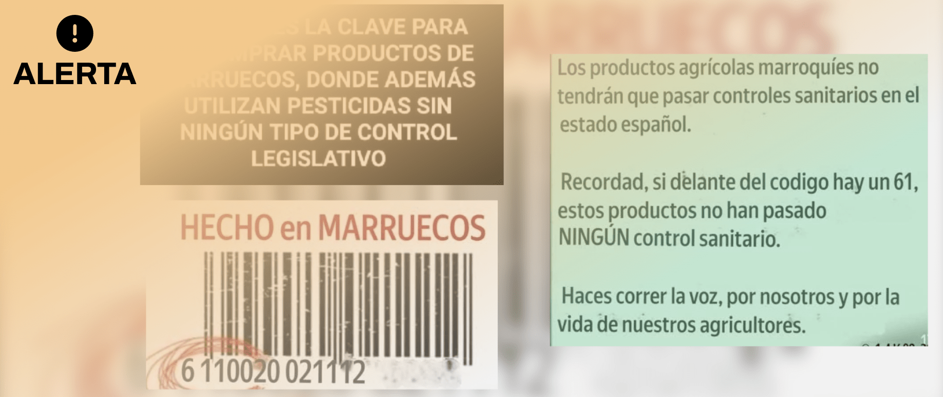 تفنيد إشاعة.. إسبانيا والاتحاد الأوربي المنتجات المغربية برمز 611 تخضع للمراقبة