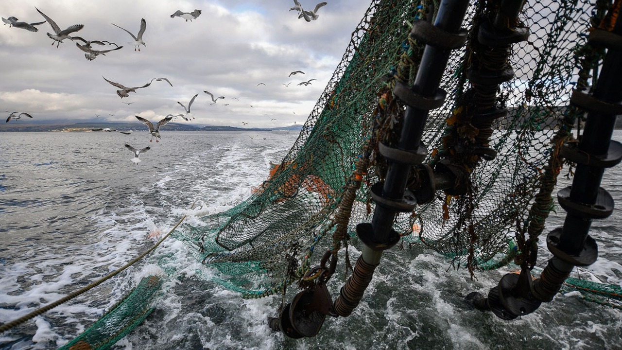 ميناء الحسيمة: انخفاض في كمية مفرغات الصيد البحري مع متم يوليوز 2025