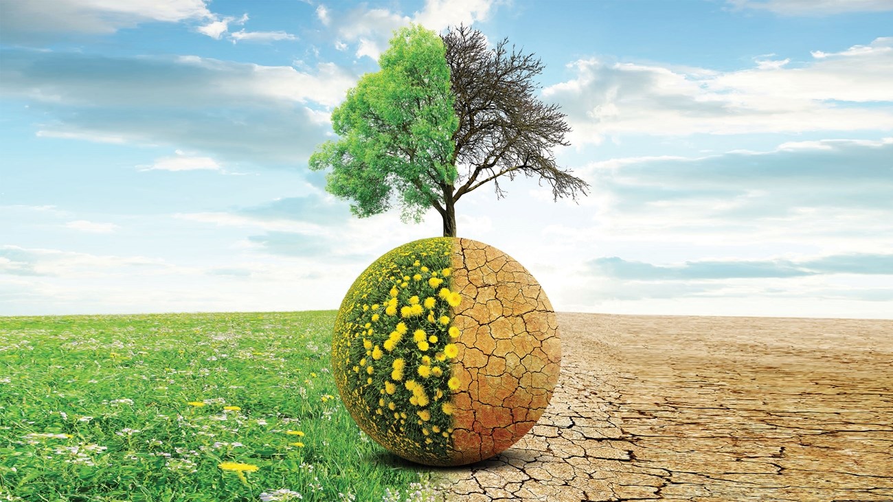 الفلاحة والمناخ: حوض المتوسط يتعبأ من مكناس من أجل انتقال مرن