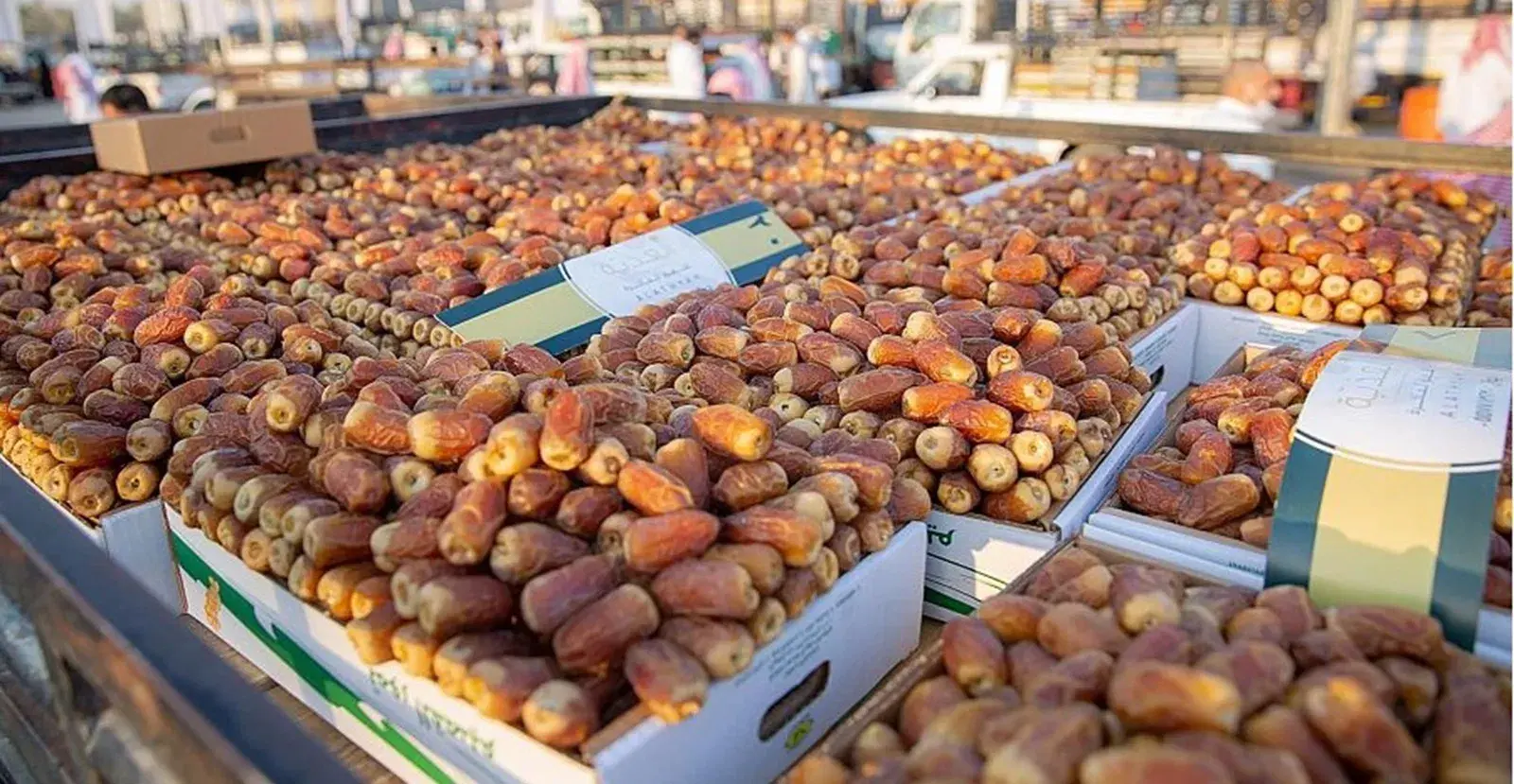 مطالب بوقف استيراد التمور التونسية