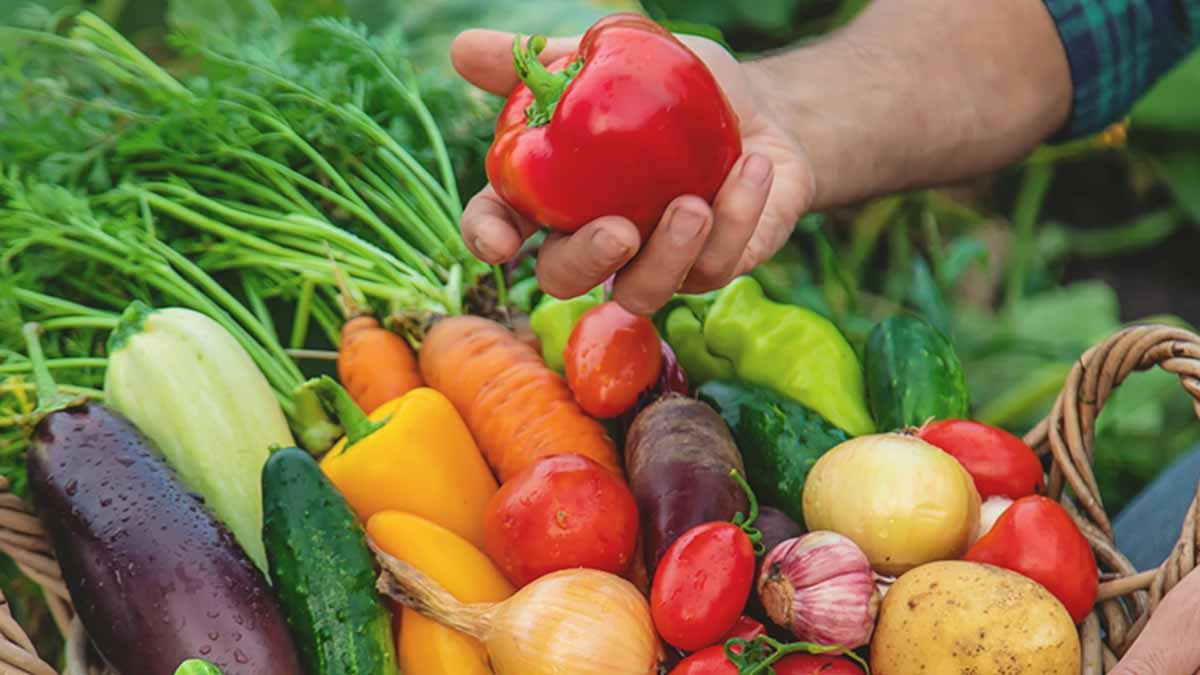 إسبانيا تدافع عن المنتوجات المغربية.. «تلتزم بقوانين الاتحاد الأوروبي»