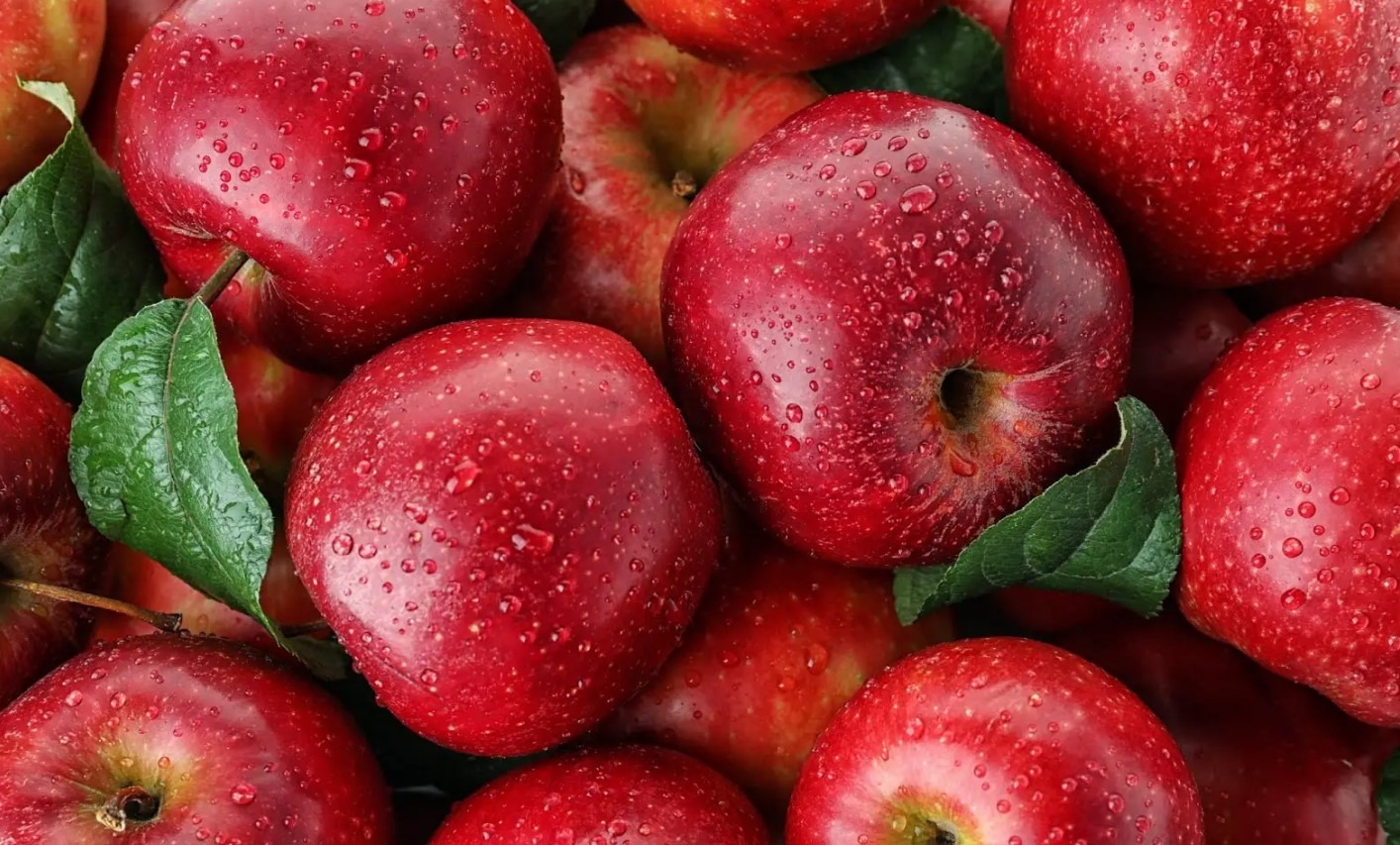 انطلاق فعاليات الدورة الخامسة للملتقى الوطني للتفاح بميدلت