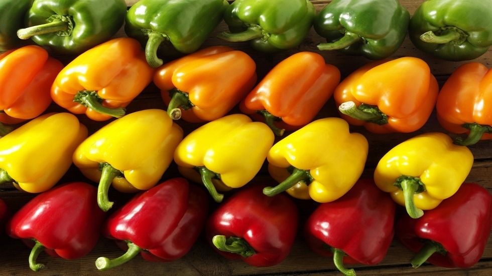 بنحو 92% من الصادرات.. المغرب يهيمن على سوق الفلفل الإسباني