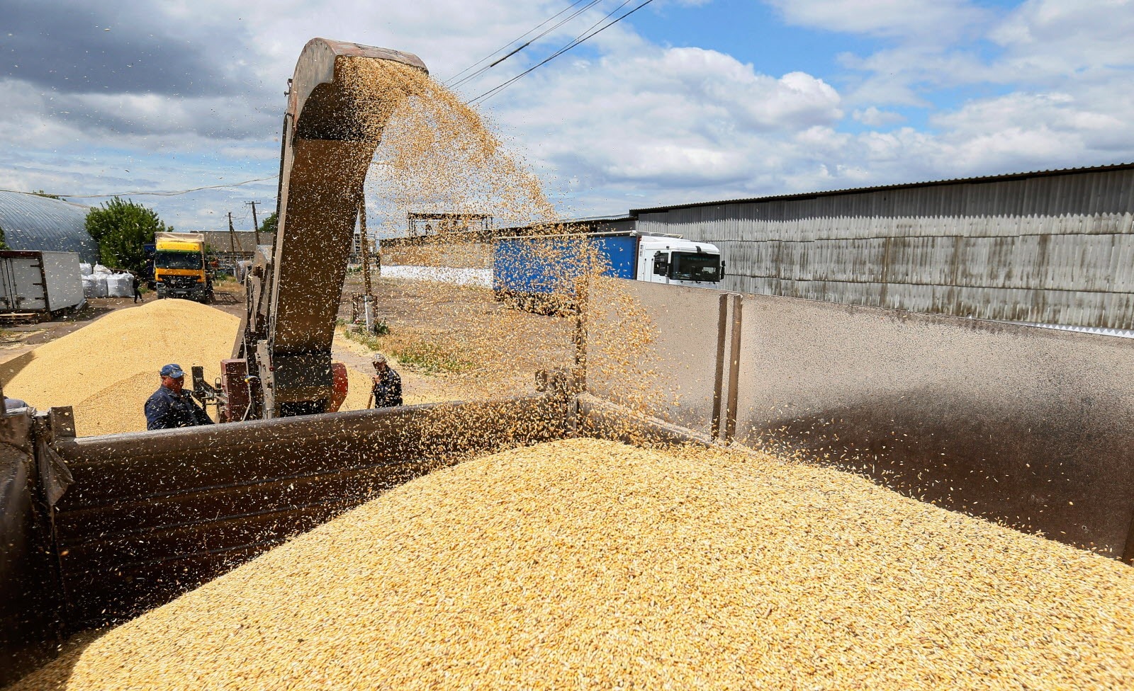 واردات المغرب من الحبوب تقفز إلى 99 مليون قنطار في موسم 2024‑2025