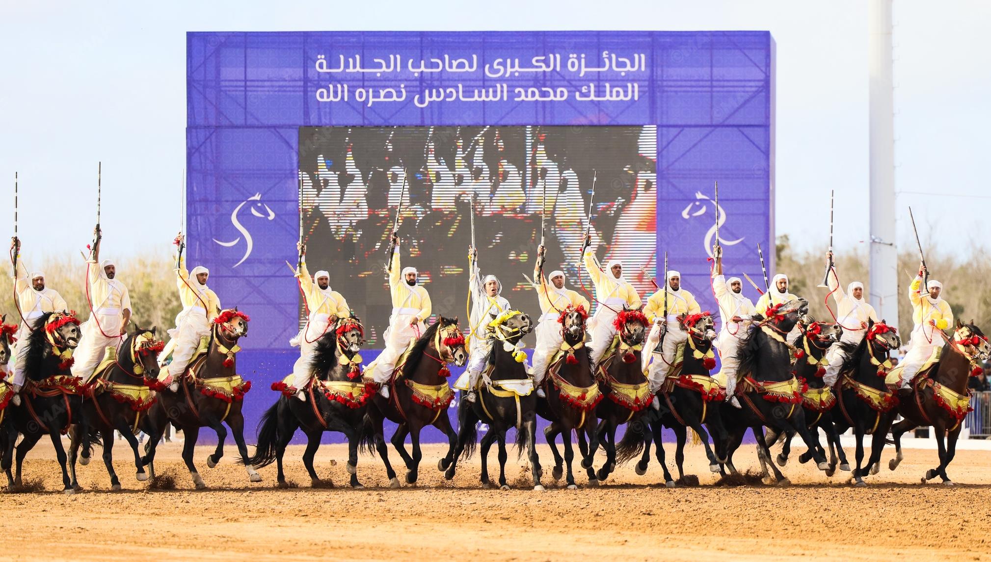 معرض الفرس بالجديدة.. تسليط الضوء على تراث الفروسية بمختلف جهات المملكة