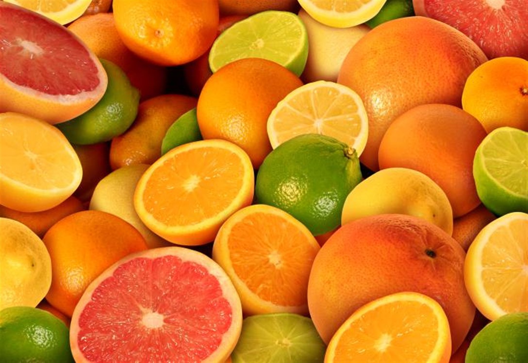 لهذه الأسباب تصدر المغرب موردي «الفواكه الحمضية الصغيرة» إلى إسبانيا