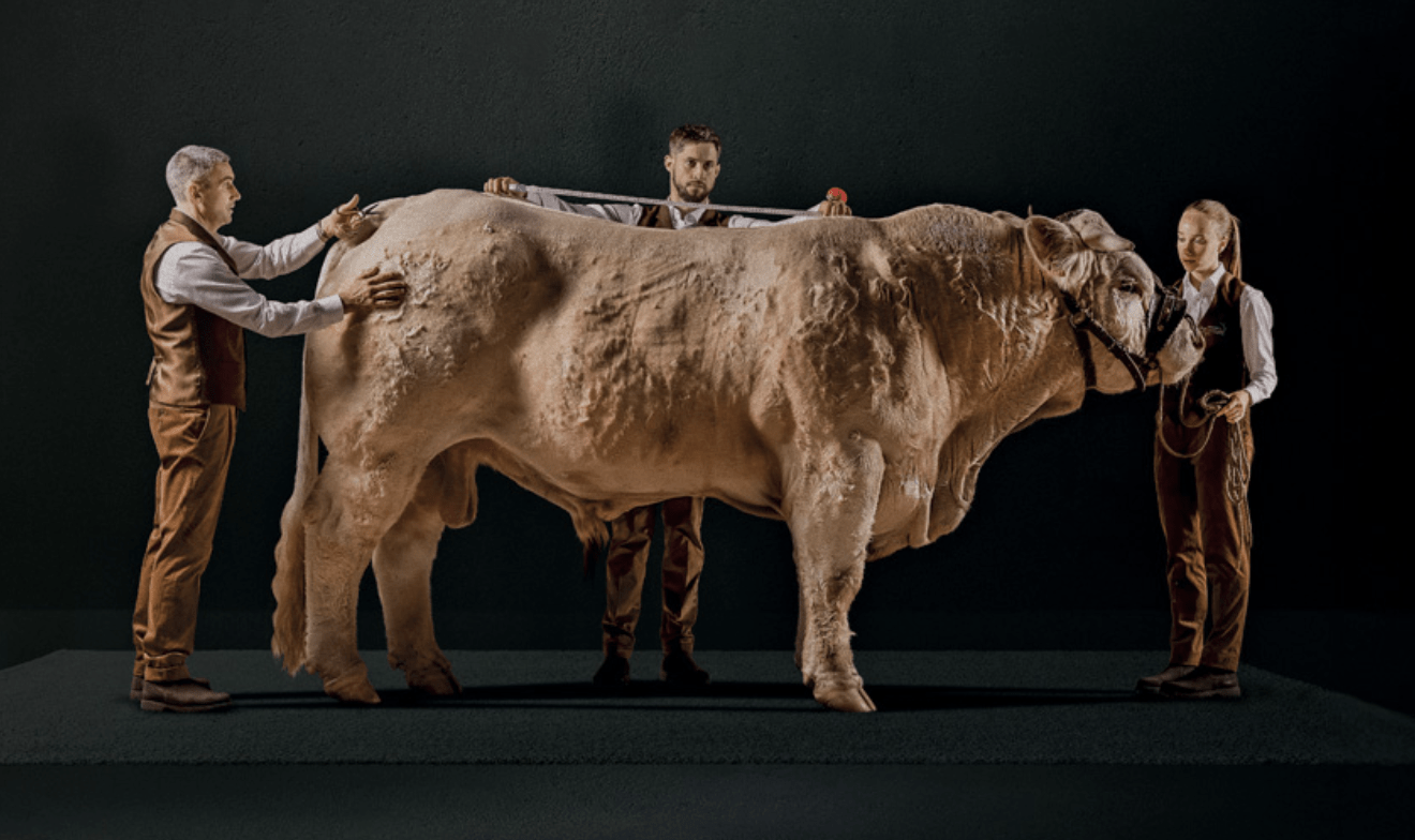 المغرب أول بلد إفريقي ضيف شرف «Sommet de l’élevage» بـ«كليرمون-فيرون»