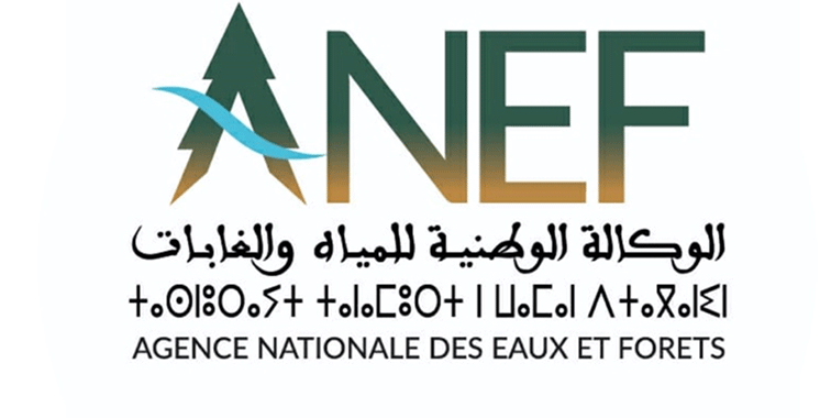 «ANEF»: نلتزم لأجل صيانة وتثمين غابة «المعمورة» بشكل مستدام