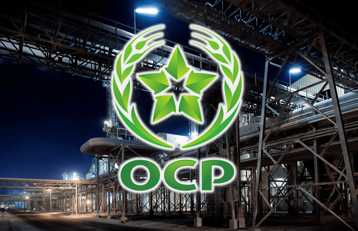 OCP يواصل منحنى النمو.. رقم معاملات يتجاوز 84 مليار درهم وارتفاع لافت لأسمدة «TSP»