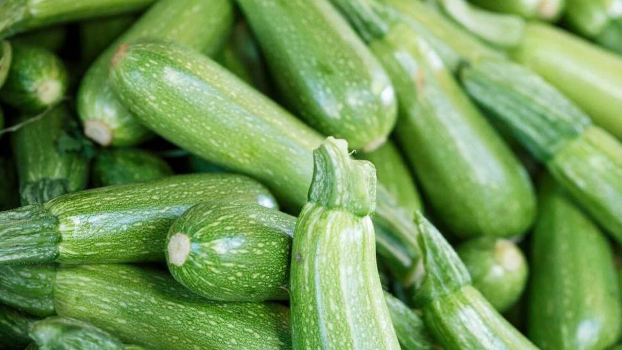 رغم الحفاظ على مكانة استراتيجية.. صادرات القرع الأخضر المغربي تتراجع