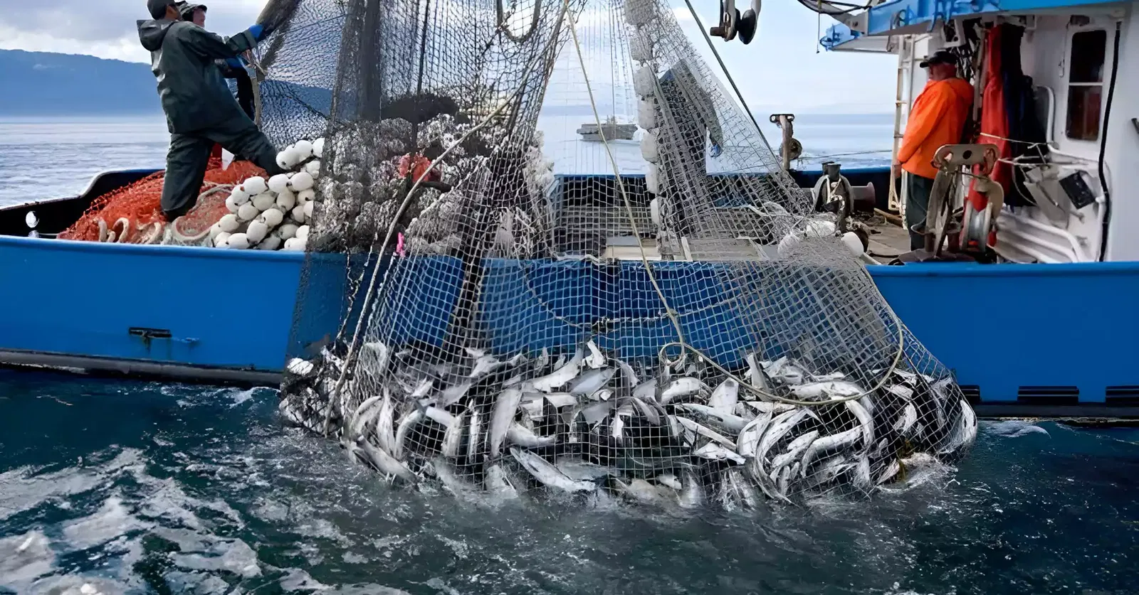 الدريوش: «أليوتيس» أحدثت تحولا عميقا في الصيد البحري