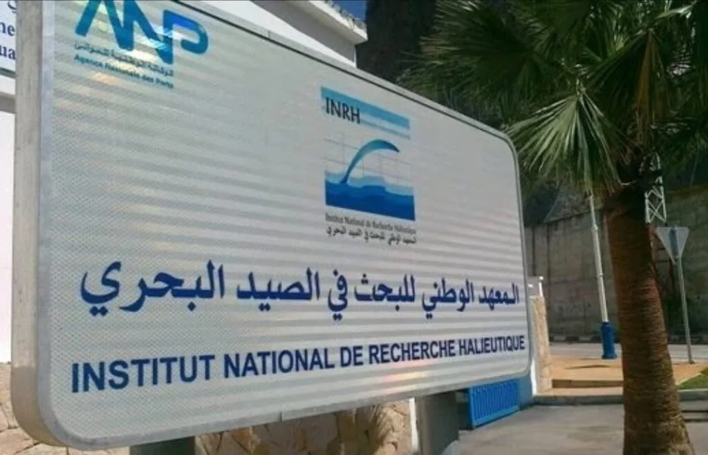 «المعهد الوطني للبحث في الصيد البحري» يصادق على خطة عمله وميزانيته لسنة 2026