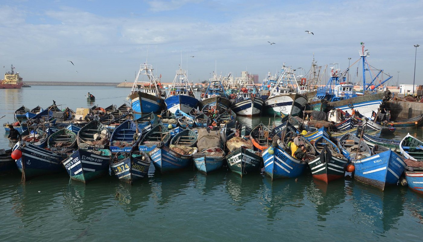 ميناء أكادير: انخفاض في كمية مفرغات الصيد البحري متم نونبر 2025