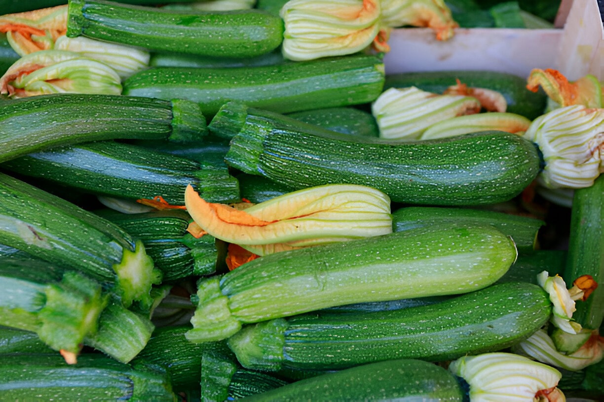 «القرع الأخضر» المغربي يتصدر قائمة واردات إسبانيا