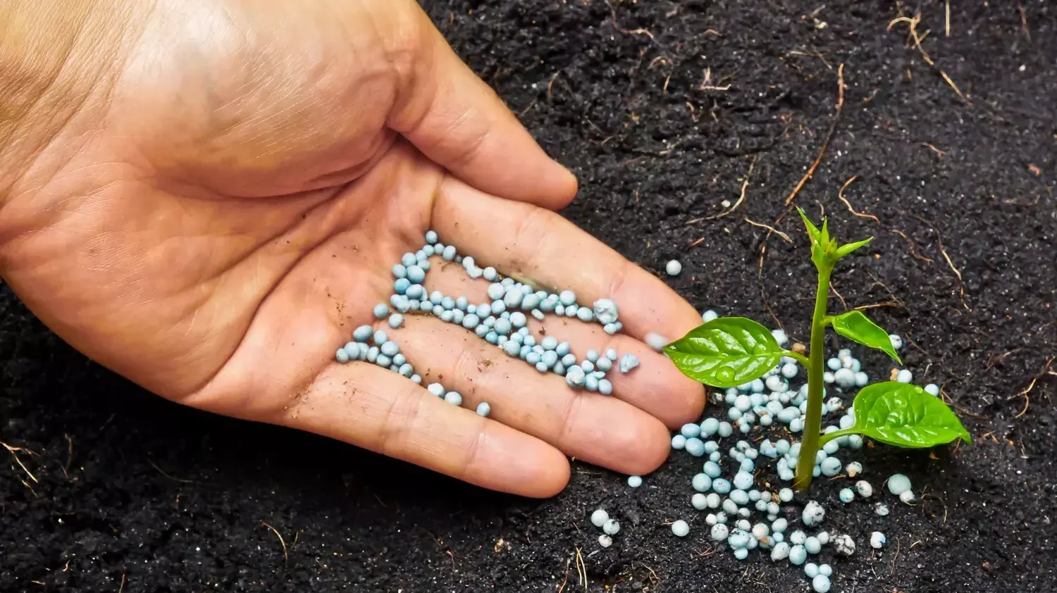 «OCP» يبويء المغرب الرتبة الرابعة عالميا في سوق الأسمدة