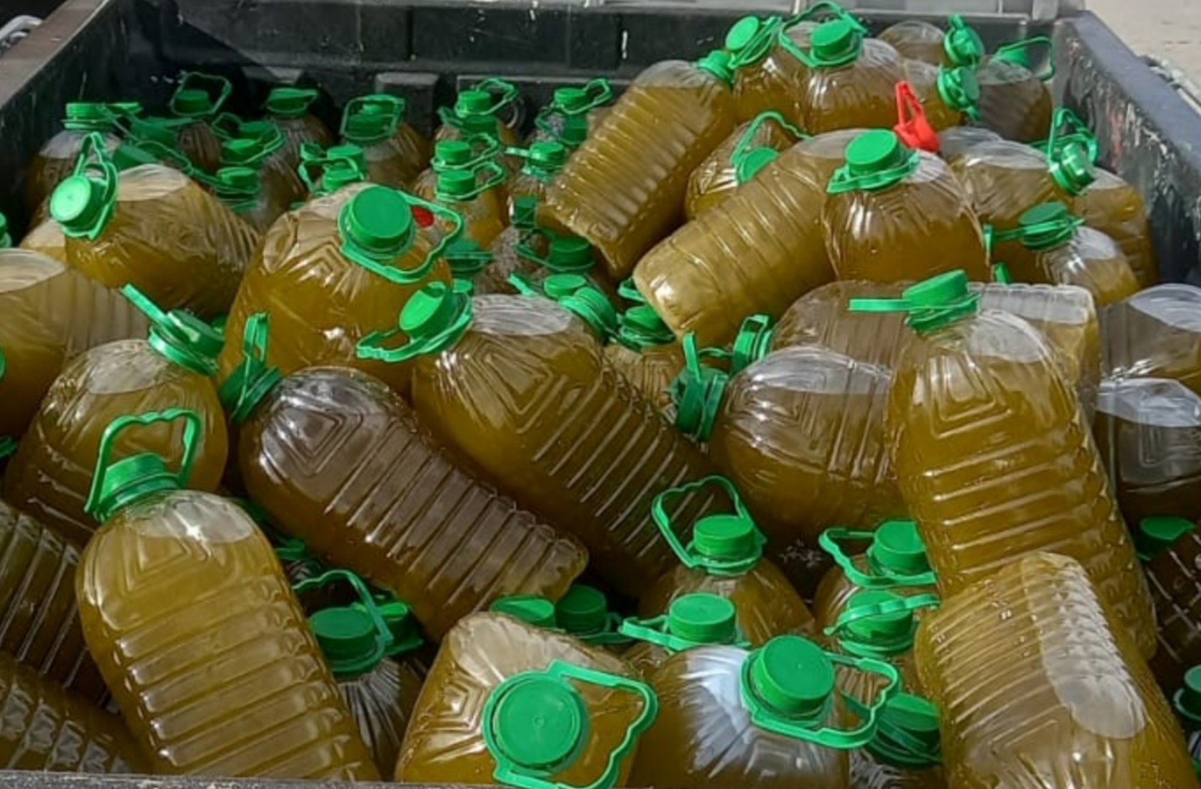 زيت الزيتون المغشوش يعيد الجدل حول تواصل «ONSSA»