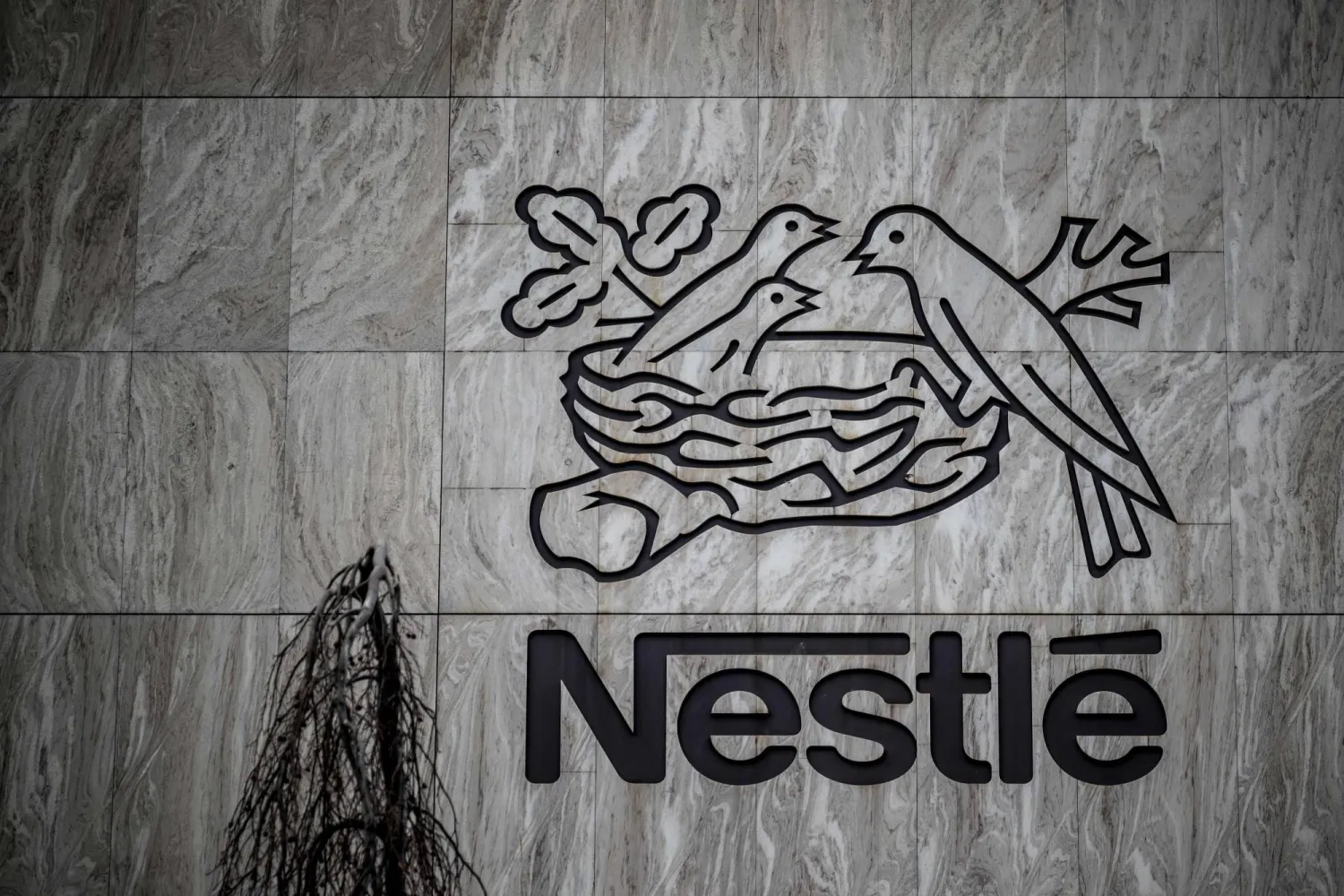 حليب الأطفال في المغرب سليم وغير معني بسحب «Nestlé»